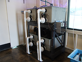 Wave Simulator at Cal Poly
